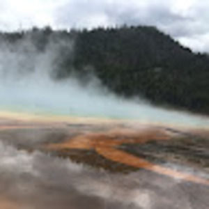 Meet your Posher, Mackenzy